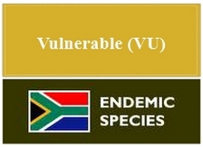 vulnerable_endemic_species